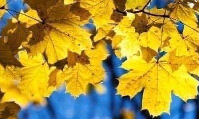 PODZIMNÍ PRÁZDNINY 2025